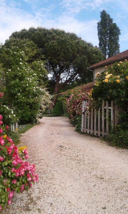 Bed and Breakfast Asinus 32 à Viozan Extérieur photo